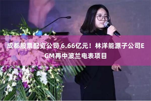 成都股票配资公司 6.66亿元！林洋能源子公司EGM再中波兰电表项目
