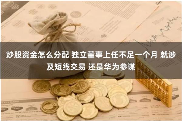 炒股资金怎么分配 独立董事上任不足一个月 就涉及短线交易 还是华为参谋