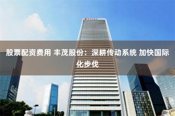 股票配资费用 丰茂股份：深耕传动系统 加快国际化步伐