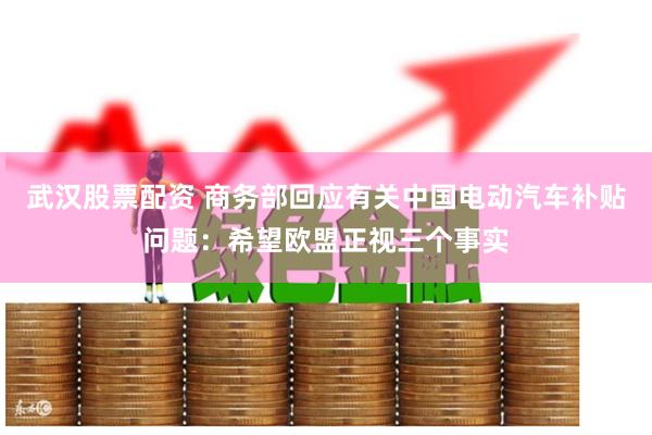 武汉股票配资 商务部回应有关中国电动汽车补贴问题：希望欧盟正视三个事实