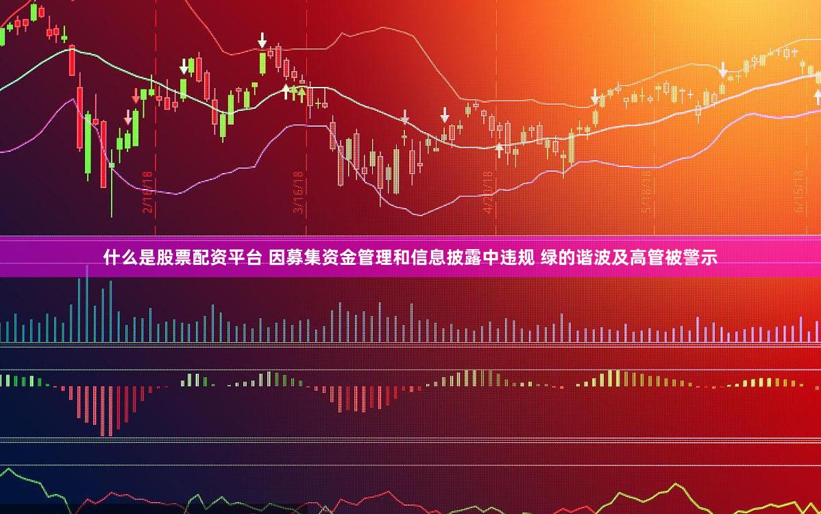什么是股票配资平台 因募集资金管理和信息披露中违规 绿的谐波及高管被警示