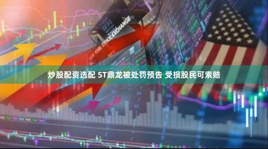 炒股配资选配 ST鼎龙被处罚预告 受损股民可索赔