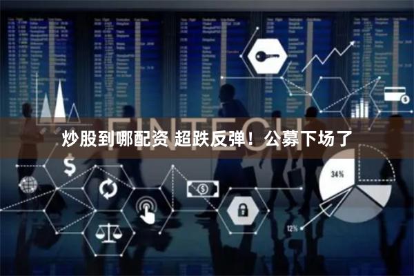 炒股到哪配资 超跌反弹！公募下场了