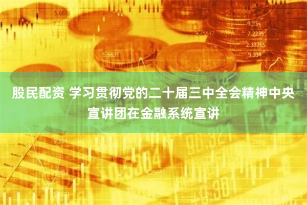股民配资 学习贯彻党的二十届三中全会精神中央宣讲团在金融系统宣讲
