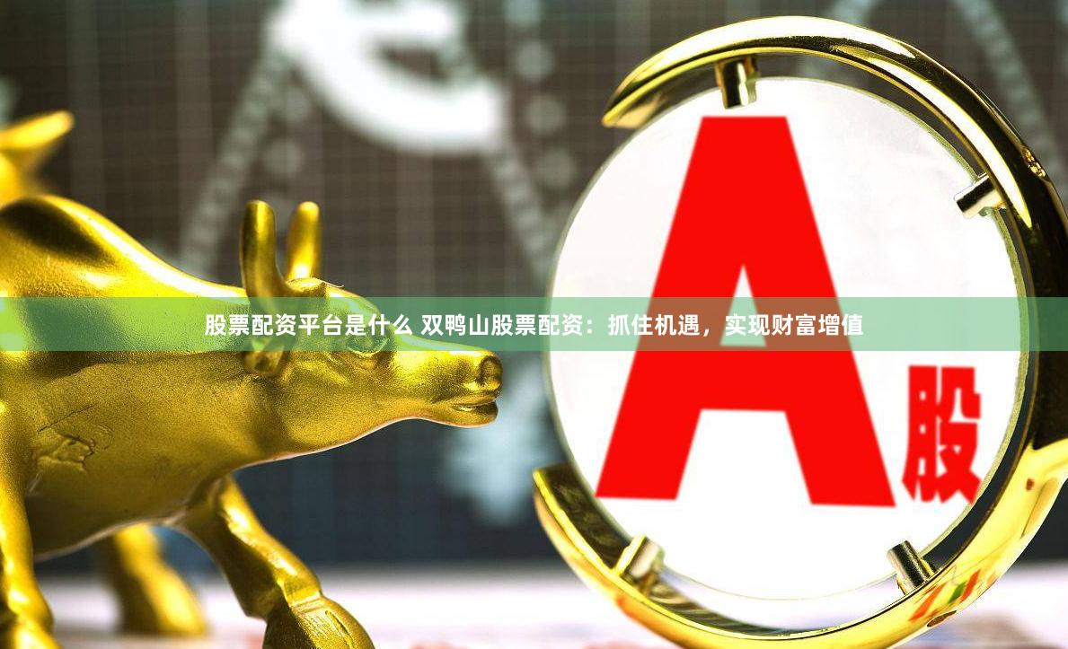 股票配资平台是什么 双鸭山股票配资：抓住机遇，实现财富增值